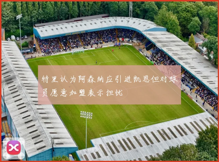 特里认为阿森纳应引进凯恩但对球员愿意加盟表示担忧